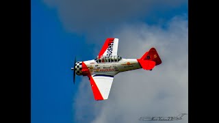 Carlos Paez, The North American T-6 Texan, 1/4 Scale, Moki 5 Cylinder