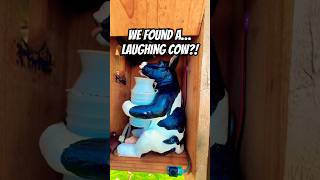 Ever heard of Laughing Cow Cheese? This Geocache hide is the real life depiction of it! 🐄