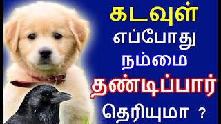 கடவுள் எப்போது நம்மை தண்டிப்பார் தெரியுமா ? | punishment for our mistake |#nammabhoominammasamy