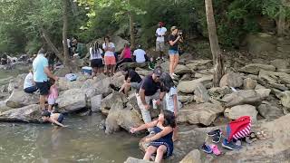 Vickery Creek Water Fall | Roswell Mill