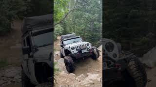 Needs 40s! - Halfmoon Gulch Colorado #coloradooffroad #coloradoadventure #nature #overland