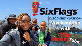 Six Flags Discovery Kingdom | Dolphins | Spiders | Lions and bears oh my