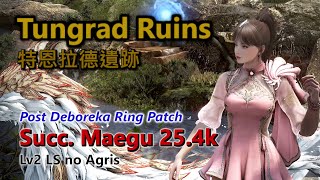 BDO | Tungrad Ruins | Post Deboreka Ring Patch | Succ. Maegu | 25.4k trash/h | Lv2 LS no Agris