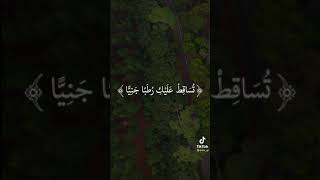 عبد الباسط عبد الصمد حالات واتس اب قرآن ❤️