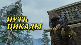 Мы команда! The Last of Us (Мультиплеер Одни из нас)