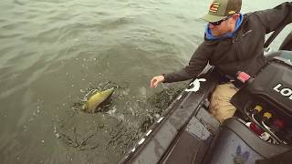 Padde-Tail Swimbaits for Giant Mille Lacs Smallmouth Bass!