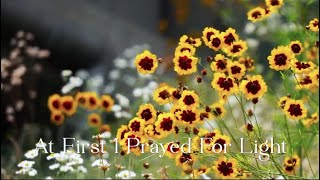 488 SDA Hymn - At First I Prayed For Light (Singing w/ Lyrics)