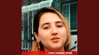 Pashto New Songs 2019 -- Dilraj - Tana Qurban Sham