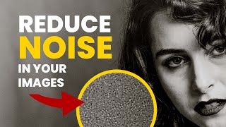 Understanding and Fixing Noise (Grain) in Your Digital Images