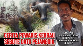 WARISAN DATU PEJANGGIK KERBAU SEBUTE