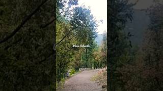 Hiking | birds chirping | dog barking