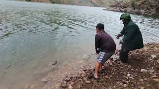 Catfish At Snake River