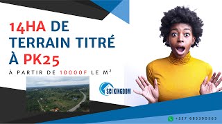 SCI KINGDOM: 🆘1ère Société civile au Cameroun dispose de 14Ha de terrain titré à PK25 pour vous! 😍