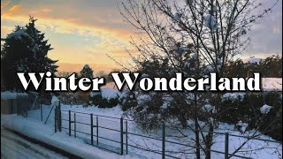 Selena Gomez - Winter Wonderland (lyrics)