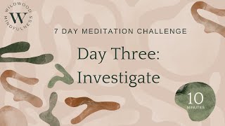 Day Three: Investigate |7 day meditation challenge|