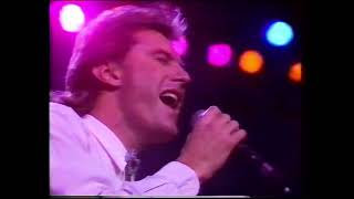 Australian Crawl - Reckless (Don't Be So) | (Live at Oz for Africa, 1985)