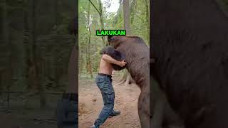 Manusia Vs Beruang Hutan | #short #beruang #fighter #bear