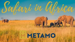 Traveling Tribes: Travel to Africa with Metamo