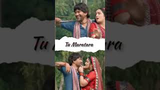 Maroon Colour Sadiya #dineshlalyadav #amarpali Dubey #Kalpna #neelkamal_singh | FASAL |#ytviral