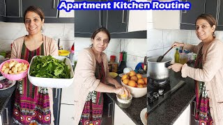 Apartment Mein Meri Kitchen Routine | Plazza mein Amna Ka Kase Khyal Rakhti Hoon ? | AyeshaLifeStyle