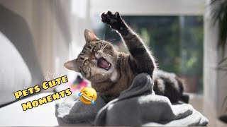 Pets Funny video compilation| Pets Cute Funny Moments