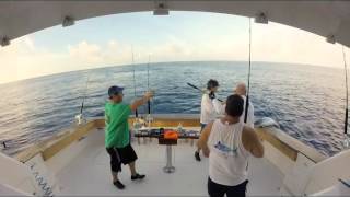 Team Lumitec Fishing Trip 2016