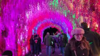 Beardsley Zoo Glow Wild Lantern Festival