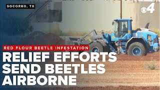 EP Water begins removal of pecan shells to battle beetle infestation in Socorro