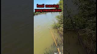 hasil mancing yang memuaskan #mancingikan #fishing #shorts