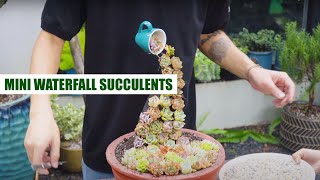 Making Mini Waterfall with Succulents // Joy Garden Succulent