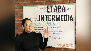 Etapa intermedia