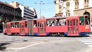 Belgrade tram