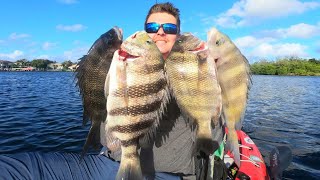 First SHEEPSHEAD Trip of 2020 *CATCH, CLEAN & COOK* kayak fishing adventure