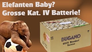 Kategorie IV: Elefanten-Baby von Bugano inkl. Bonus-Material :-D!