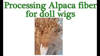 Processing Alpaca Fiber for Doll Wigs