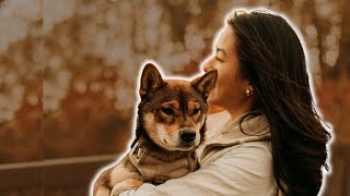 3 things my SHIBA INU TAUGHT ME  🙊 the truth from a first-time dog owner