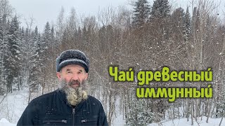 Чай древесный иммунный от Михаила Лапина