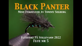 Black Panter. Fluefiske på stillevann 2022, maur, tørrflue, fluebinding og imitasjonsfluefiske