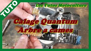 Briggs Quantum : Calage arbre a cames ( distribution )