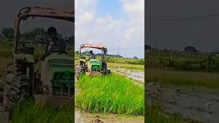 DEUTZ-FAHR Agrolex 50 hp Tractor 💪💪#tractorvideo #deutz_fahr #tractorblog