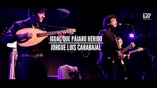 Jorge Carabajal | Igual que pájaro herido (Folk Club en Distrito Siete)