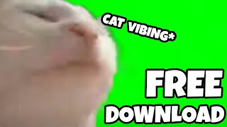 Cat Vibing Meme [ GreenScreen ] download!