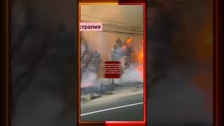 18.11.2024 Что произошло в мире