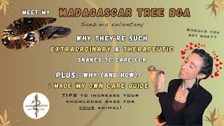 Madagascar Tree Boas & Essential Tips For Reptile Research To Improve Your Husbandry!