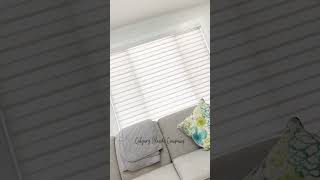 Zebra Blinds By Calgary Blinds Company