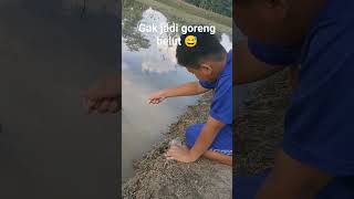 gak jadi nie goreng belut