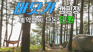 아들과 백패킹 | 예약없이 갈수 있는 바닷가 캠핑장 | 소나무 그늘 노을 맛집 | 여름휴가 바다캠핑장 추천 | 입실, 퇴실 자유 애견동반가능 | Camping | 덕적도 서포리해변