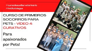 Curso de Primeiros Socorros Pet: Curativos Emergenciais