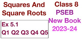 Q1 Q2 Q3 Q4 Q5 Ex 5.1 | Squares And Square Roots | Chapter 5 Class 8 PSEB New Book 2023 Maths