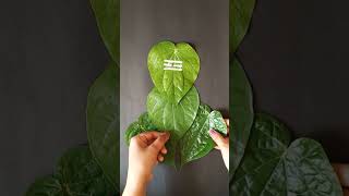 How to make ganapati with Leaf #shorts#ganapati#leaf#papercraft#trending#viralshort